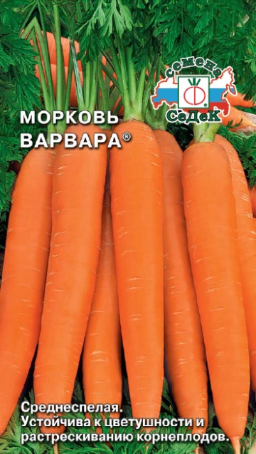Морковь Варвара 2г