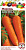 Морковь Аленка 2г